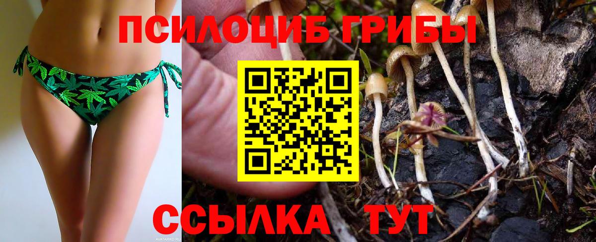 Псилоцибиновые грибы мухоморы Брянск