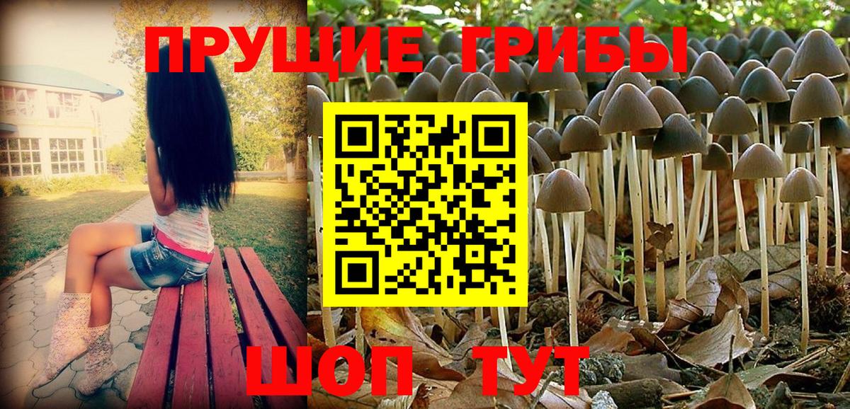 Псилоцибиновые грибы Psilocybine cubensis  Вход с VPN  цена   Псилоцибиновые грибы MAGIC MUSHROOMS  Брянск 
